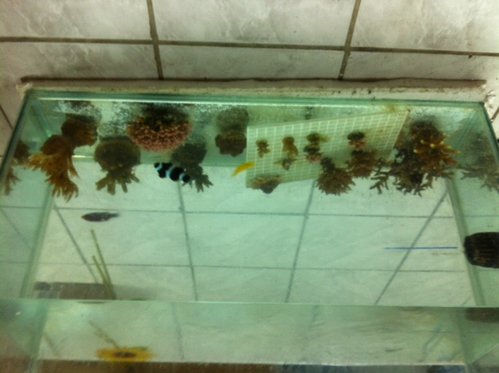 photo-5.JPG