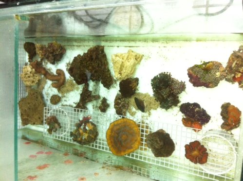 photo.JPG