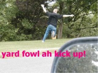 yard fowl ah kick up.jpg