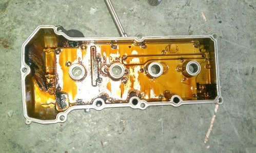 IMAG1205.jpg