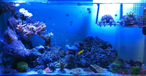 photo-4.JPG