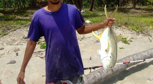 6lb cavalli.jpg