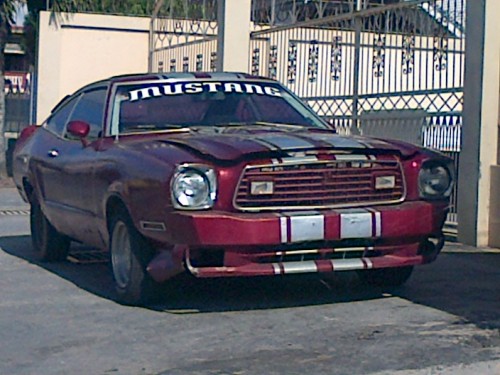 IMG-20130406-00341.jpg