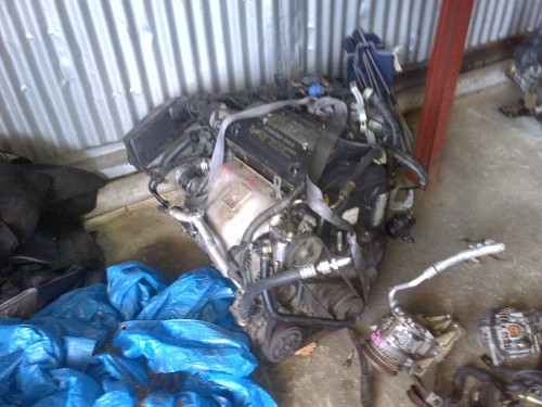 IMG-20130411-00413.jpg