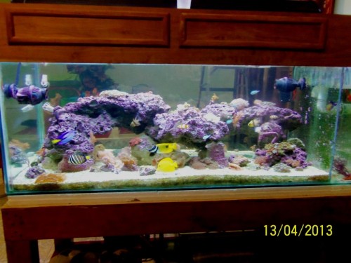 100_2835.JPG