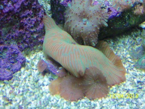 100_2860.JPG