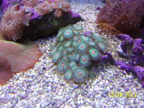 100_2866.JPG