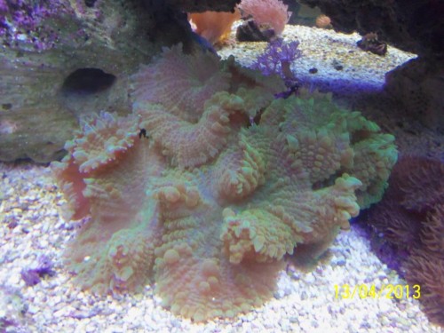 100_2870.JPG