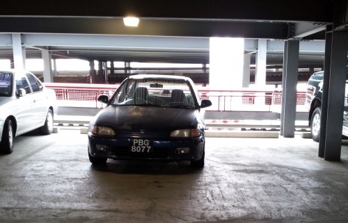20130424_095711-3.jpg