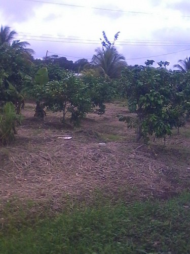 IMG_20130426_171009.jpg