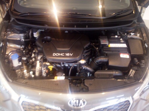 IMG-20130427-00239.jpg