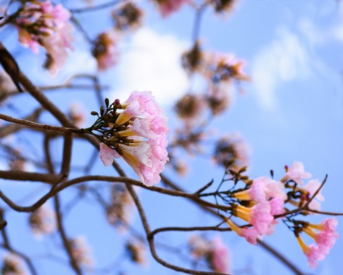 DSC_2224_filteredFlippedFB.jpg