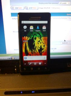 IMG-20101118-00037.jpg