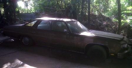 caprice2.jpg