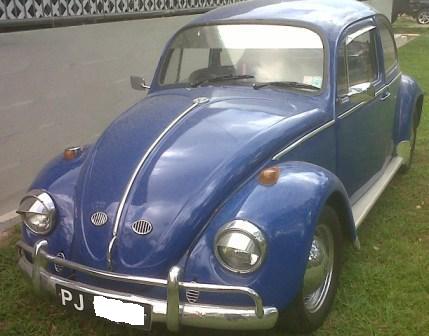 1vw.jpg