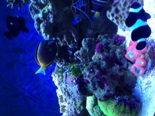 photo-5.JPG