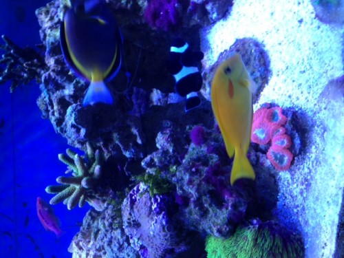 photo-9.JPG