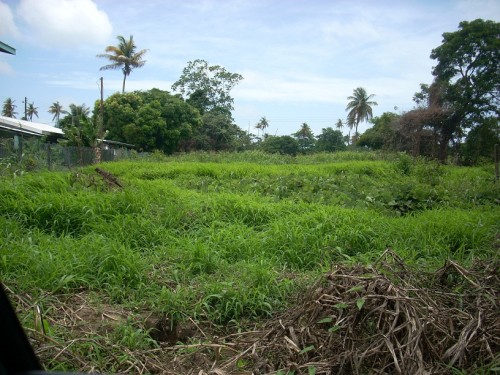 DSCN5199.JPG