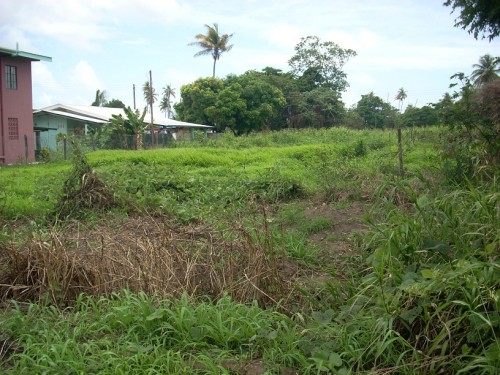 DSCN5202.JPG