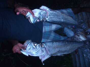 IMG_20130603_00131759.jpg