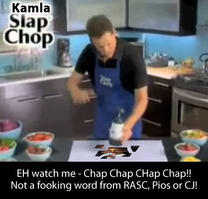 kamla-slap-chop.jpg