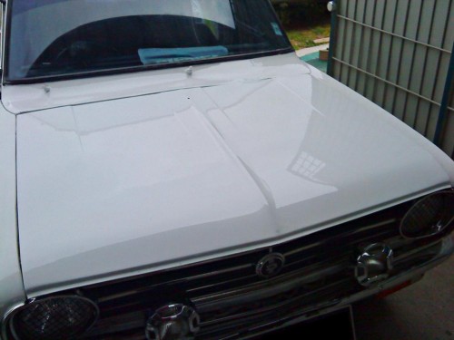 DSC01401-2.jpg