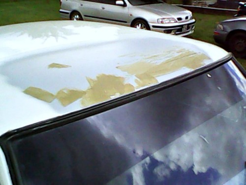 IMG0128A.jpg