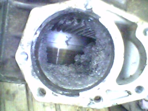 IMG0231A.jpg