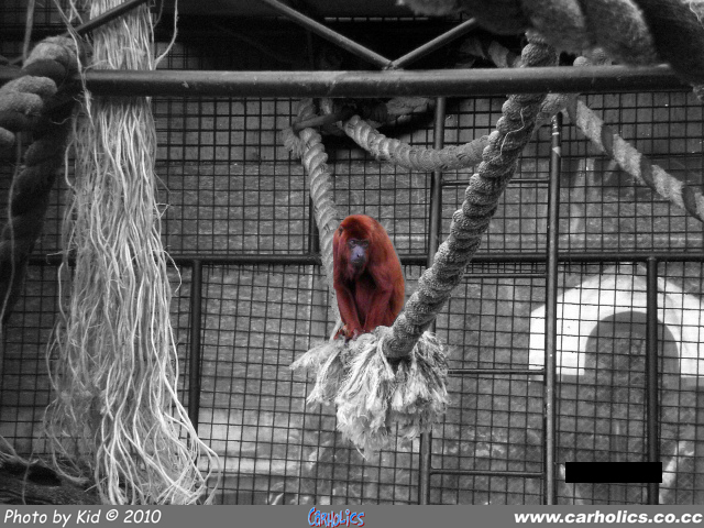 CIMG0231 copy.jpg