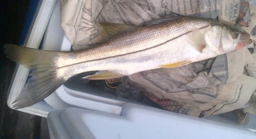 IMG-20130628-00488.jpg