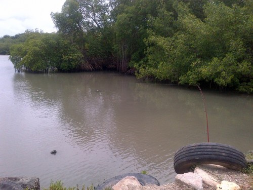 IMG-20130628-00489.jpg