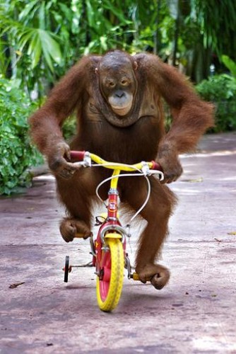jeremy clarkson on his bike.jpg