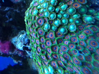 photo-6.JPG