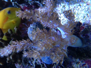 photo-5.JPG