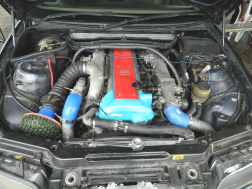 DSCN0549.JPG