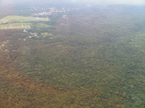 IMG-20121203-00245.jpg