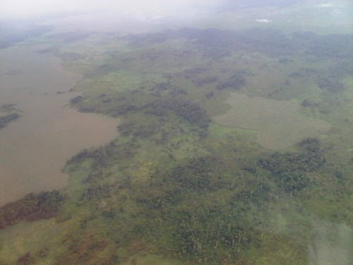 IMG-20121203-00235.jpg