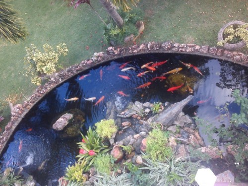 IMG_20130806_174324.jpg