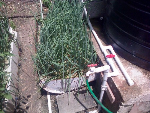 IMG-20130825-00116.jpg