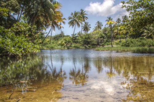 Toco Lagoon - Copy.jpg