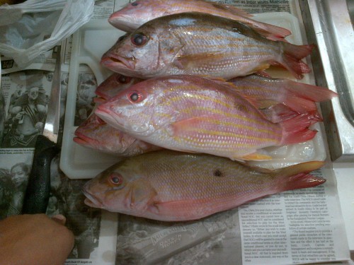 IMG-20120404-00041.jpg
