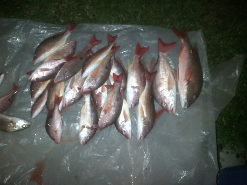 Oct 20 2012 Catch.jpg