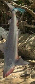 IMG-20131002-WA0002.jpg