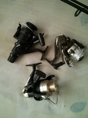IMG_20131004_122106.jpg