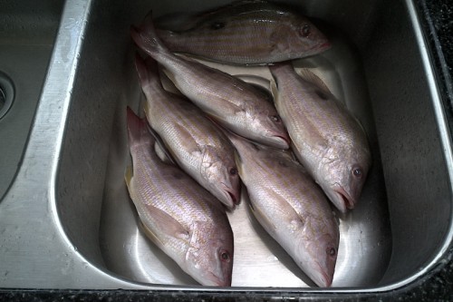 IMG-20131005-00477.jpg