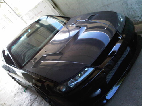 IMG00364-20101230-1056.jpg
