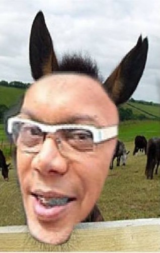 p.jpg