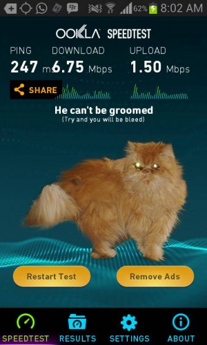 uploadfromtaptalk1383048348720.jpg