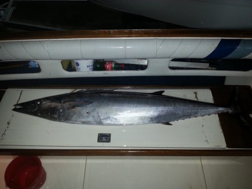 20130204_193257_2.jpg