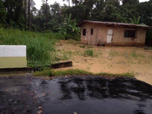 Cham Rd in Mayaro.jpg